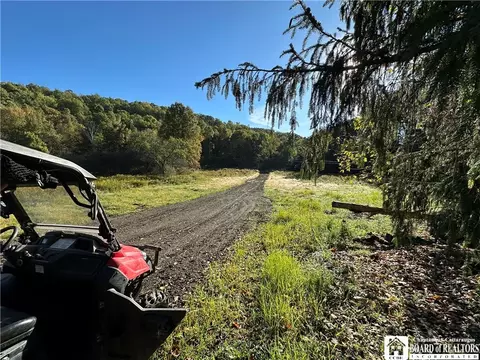 10598 Lebanon Rd, Cold Spring, NY 14772