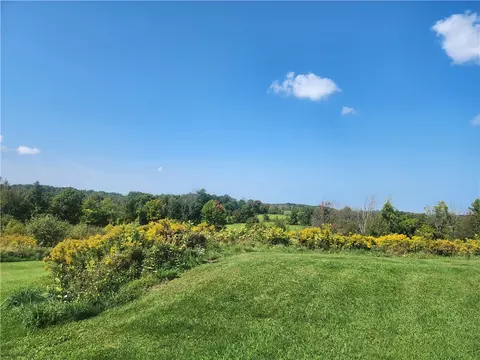 5700 Marrowback Rd, Conesus, NY 14435 photo 21
