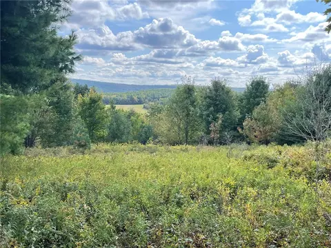 00 Hubbard Hill Rd, Maryland, NY 12116