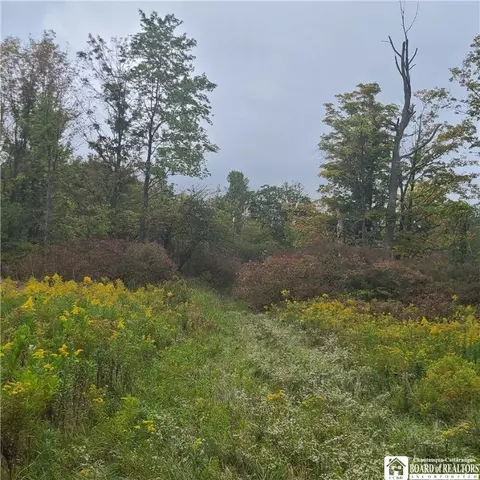 0 Mitchell, Busti, NY 14701 photo 4