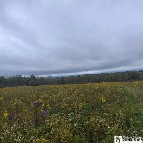 0 Mitchell, Busti, NY 14701 photo 5