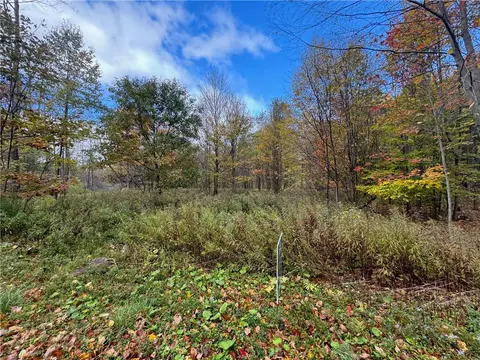 0 Town Line Rd, Butternuts, NY 13776
