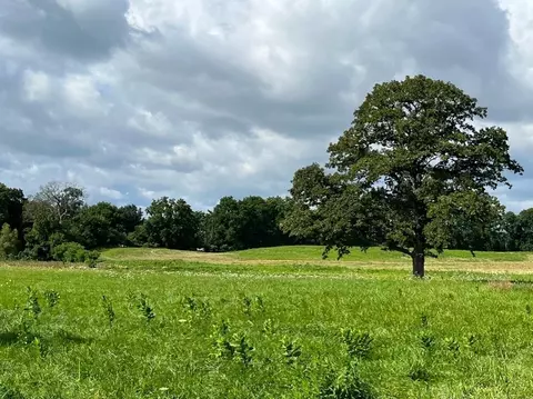 lot1 Woodruff Rd, Rush, NY 14543