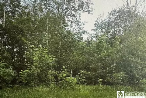 0 Rt-83, Arkwright, NY 14063 photo 6