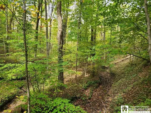 0 Rt-83, Arkwright, NY 14063 photo 3