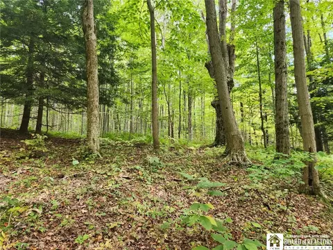 0 Rt-83, Arkwright, NY 14063 photo 4