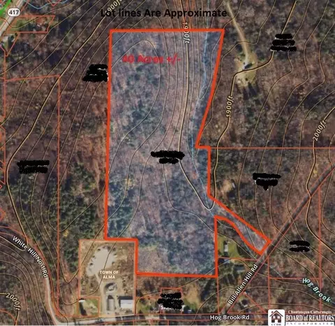 V/l Bill Allen Hill Road, Alma, NY 14895