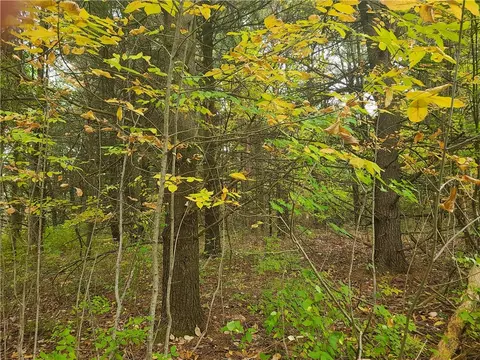 0 Talbort Hill Rd, Tyrone, NY 14837