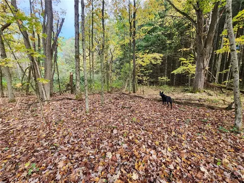 lot Apt 156 Beaver Meadow Rd, Smyrna, NY 13464