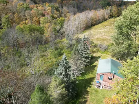 681 Spicer Rd, Independence, NY 14897