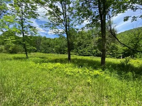 0 Silas Tompkins Rd, Hancock, NY 13783