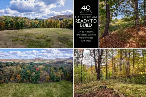 0 Elk Creek Rd, Meredith, NY 13806