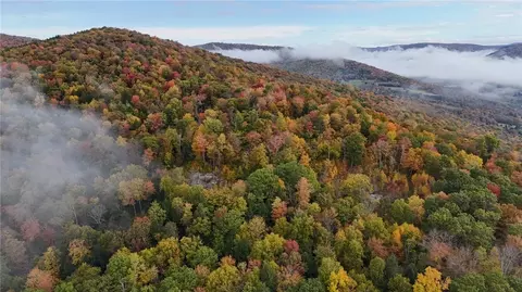 lot28 1 Shaver Hollow Rd, Andes, NY 13731