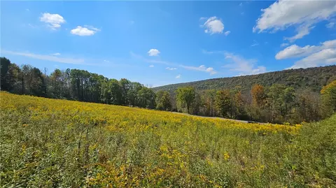 0 County Route 4, Unadilla, NY 13849
