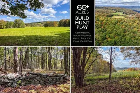 2359 Jackson Hill Rd, Franklin, NY 13846