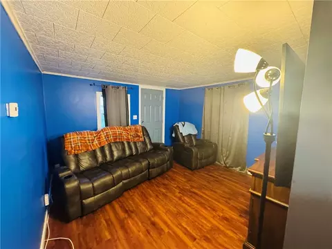 206 Catherine St, Ridgeway, NY 14103 photo 7