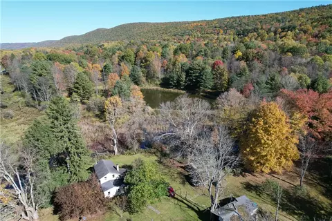 195 Hillview Rd, Danby, NY 14883