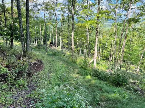 lot24 Cowan Ln, Stamford, NY 12167