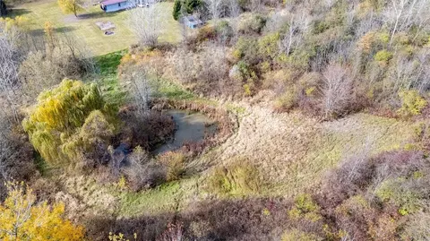 845 Birdsey Rd, Junius, NY 13165 photo 30