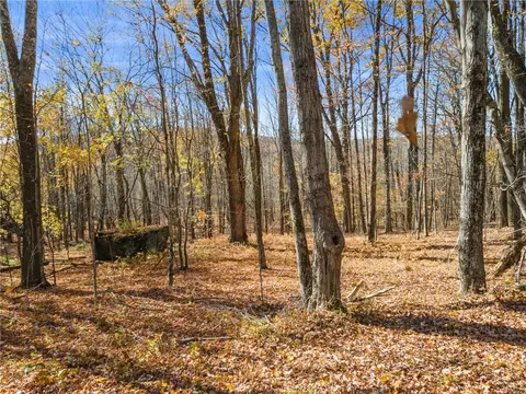 L3.9 Mcmurdy Hill Road, Kortright, NY 13739
