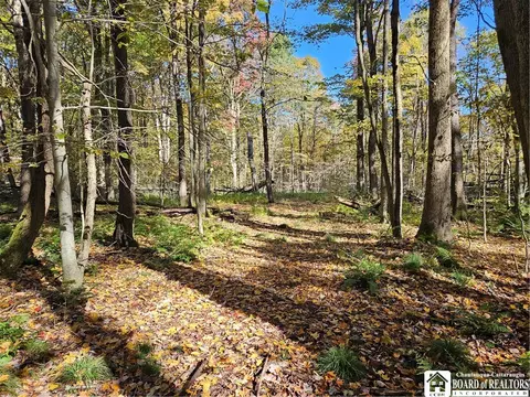 0 Sawmill Run Rd, Cold Spring, NY 14783 photo 22
