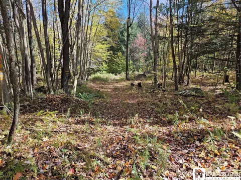 0 Sawmill Run Rd, Cold Spring, NY 14783 photo 30