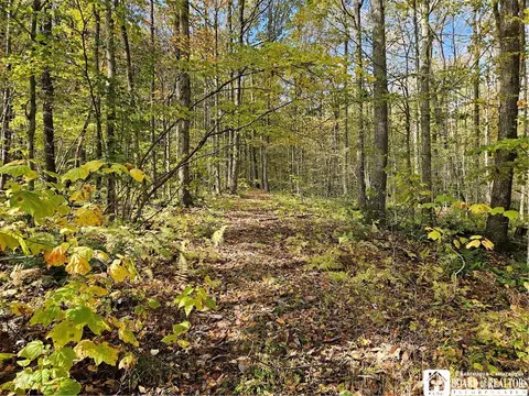 0 Sawmill Run Rd, Cold Spring, NY 14783 photo 20