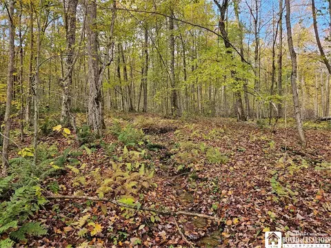 0 Sawmill Run Rd, Cold Spring, NY 14783 photo 15