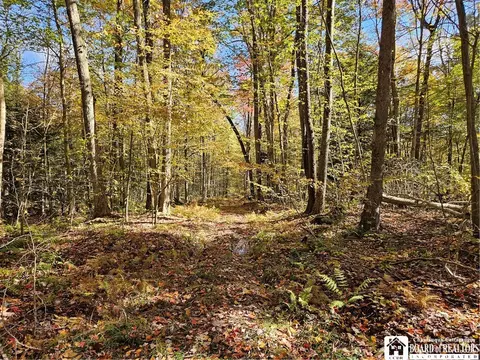 0 Sawmill Run Rd, Cold Spring, NY 14783 photo 27
