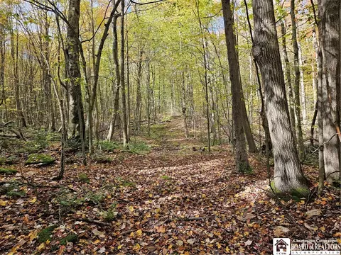 0 Sawmill Run Rd, Cold Spring, NY 14783 photo 18