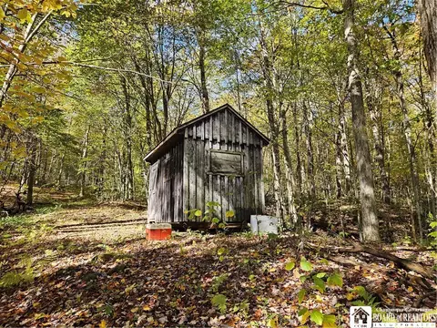 0 Sawmill Run Rd, Cold Spring, NY 14783 photo 25