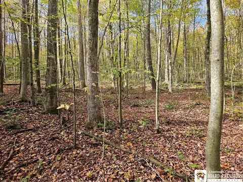 0 Sawmill Run Rd, Cold Spring, NY 14783 photo 8