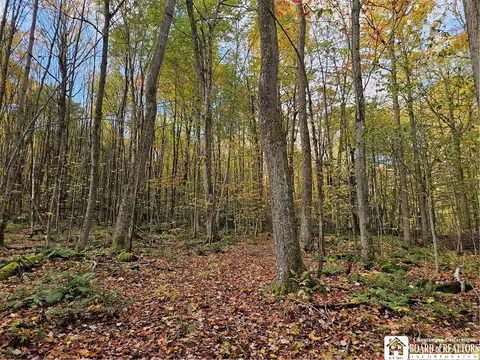0 Sawmill Run Rd, Cold Spring, NY 14783 photo 16