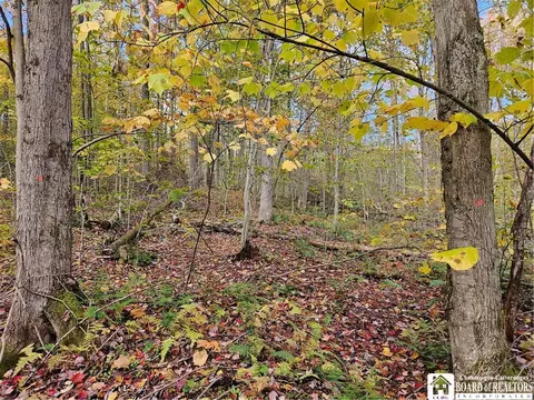 0 Sawmill Run Rd, Cold Spring, NY 14783 photo 11