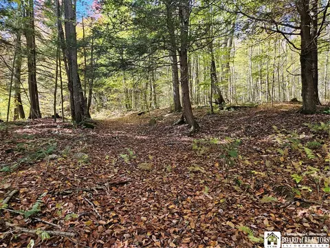 0 Sawmill Run Rd, Cold Spring, NY 14783 photo 31