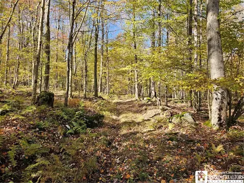 0 Sawmill Run Rd, Cold Spring, NY 14783 photo 29