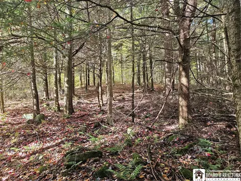0 Sawmill Run Rd, Cold Spring, NY 14783 photo 3
