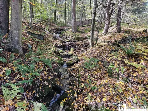 0 Sawmill Run Rd, Cold Spring, NY 14783 photo 32