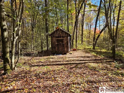 0 Sawmill Run Rd, Cold Spring, NY 14783 photo 23