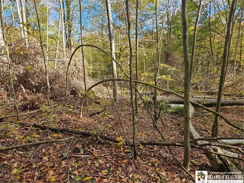 0 Sawmill Run Rd, Cold Spring, NY 14783 photo 7