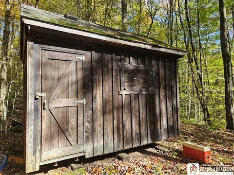 0 Sawmill Run Rd, Cold Spring, NY 14783 photo 24