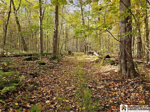 0 Sawmill Run Rd, Cold Spring, NY 14783 photo 17