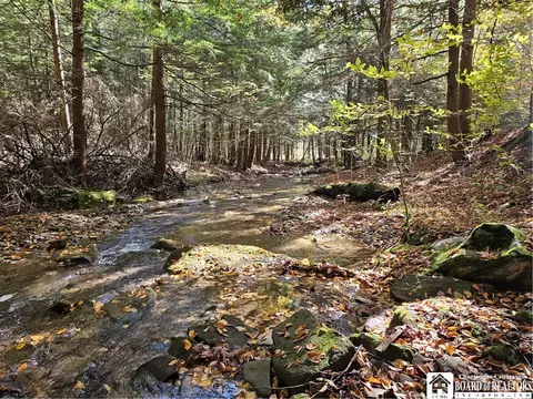 0 Sawmill Run Rd, Cold Spring, NY 14783 photo 33