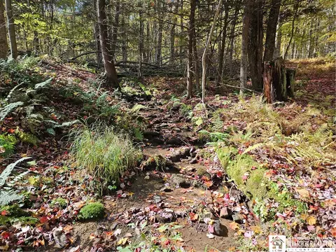 0 Sawmill Run Rd, Cold Spring, NY 14783 photo 28