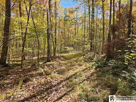 0 Sawmill Run Rd, Cold Spring, NY 14783 photo 26