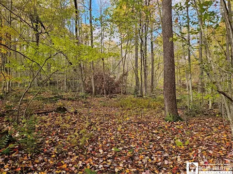 0 Sawmill Run Rd, Cold Spring, NY 14783 photo 12