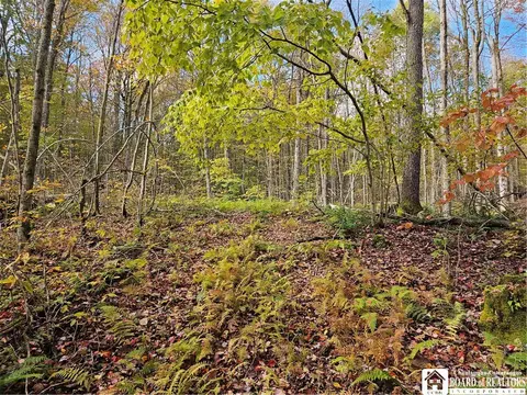 0 Sawmill Run Rd, Cold Spring, NY 14783 photo 13