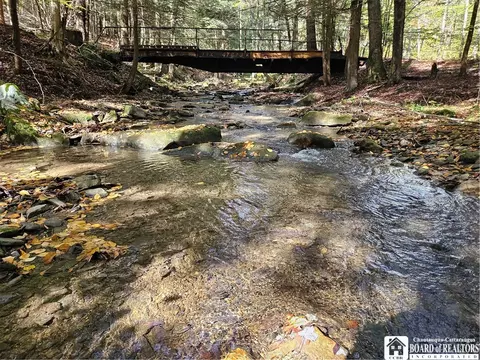 0 Sawmill Run Rd, Cold Spring, NY 14783 photo 34