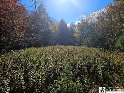 0 Sawmill Run Rd, Cold Spring, NY 14783 photo 4