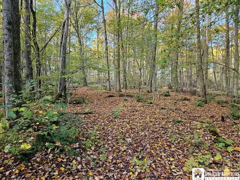 0 Sawmill Run Rd, Cold Spring, NY 14783 photo 21